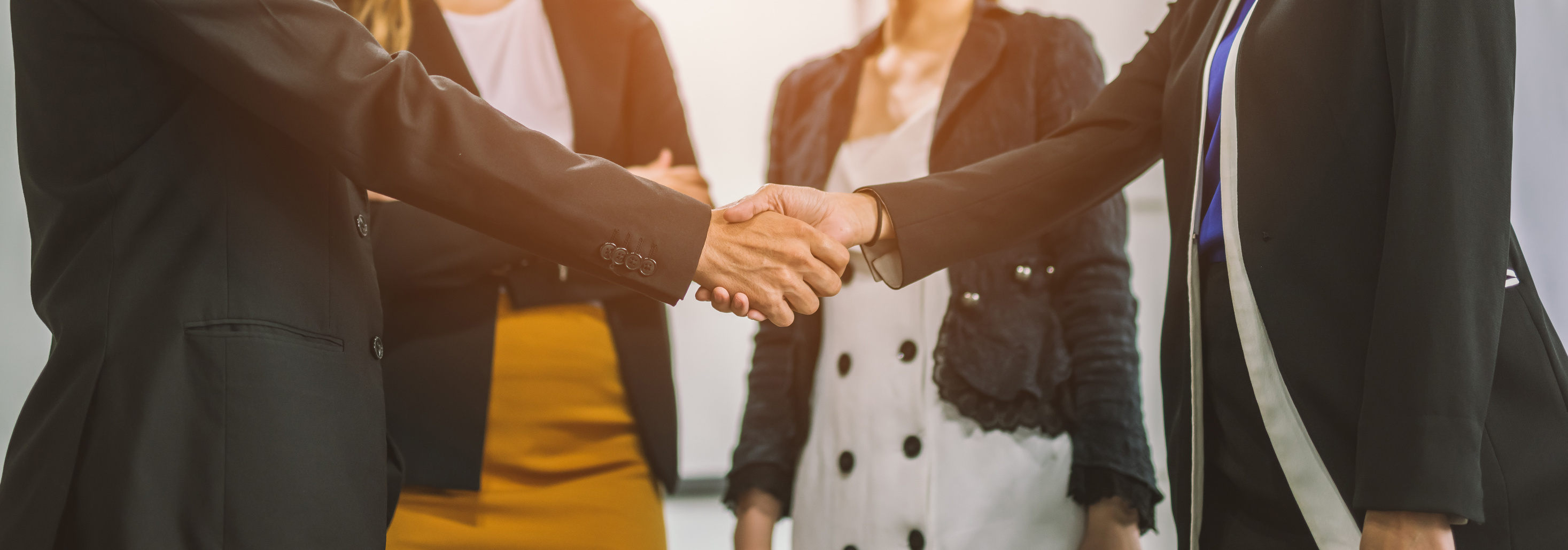 Business people partnership handshake